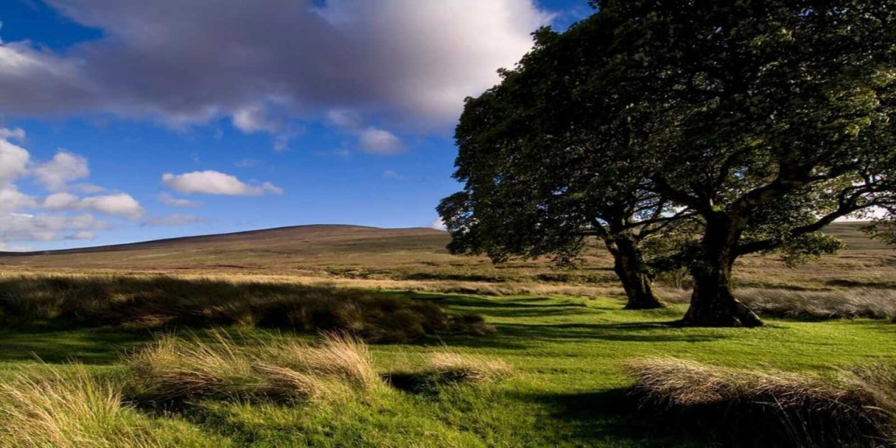 wicklow mountains greenery
