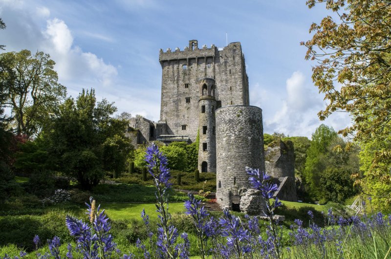 Blarney Castle and Gardens Courtesy Blarney Castle and Gardens stone castle behind garden with purple flowers